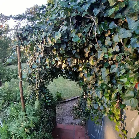 Casa Miralta *
