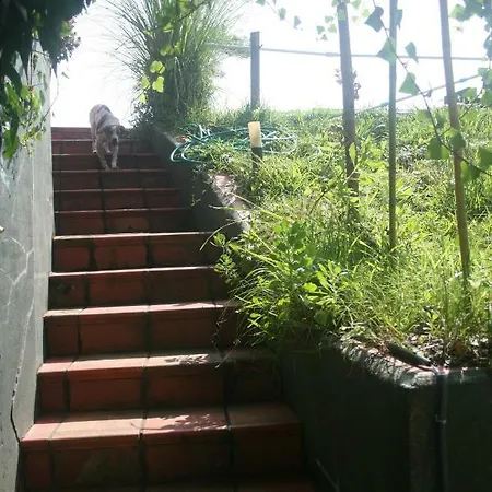 Casa Miralta Guest house *